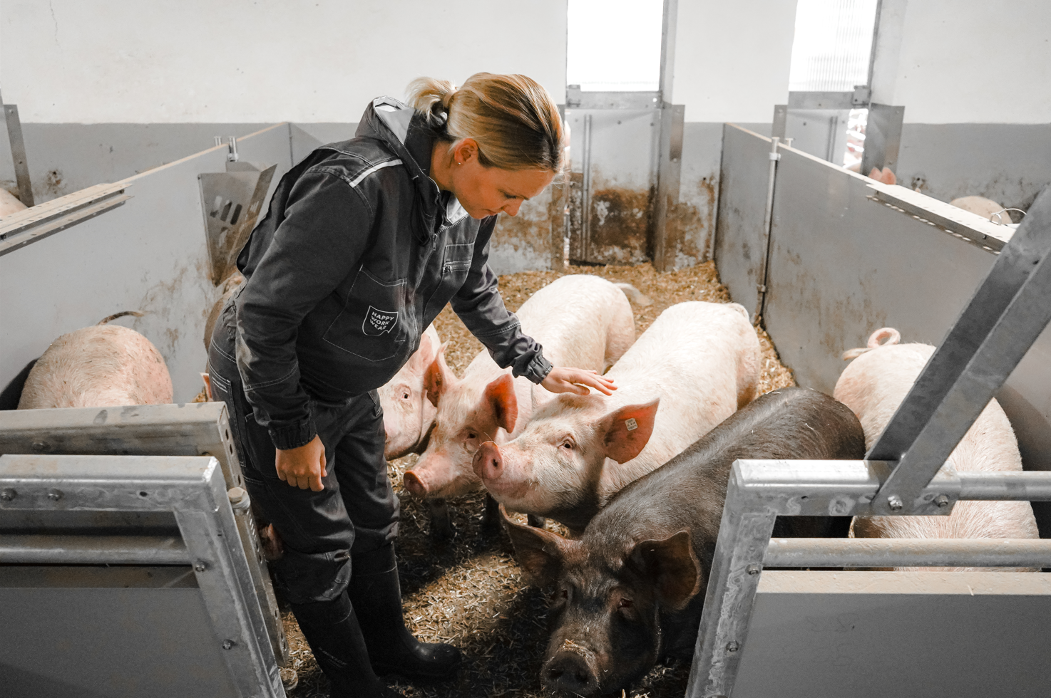 Die Ausführungen zur Kot-Harn-Trennung haben meinen Mann und mich so neugierig gemacht, dass wir von dort sofort nach Österreich weitergefahren sind und uns drei Betriebe mit dem Schauer Stallkonzept vor Ort angesehen haben. ©Gesa Langenberg