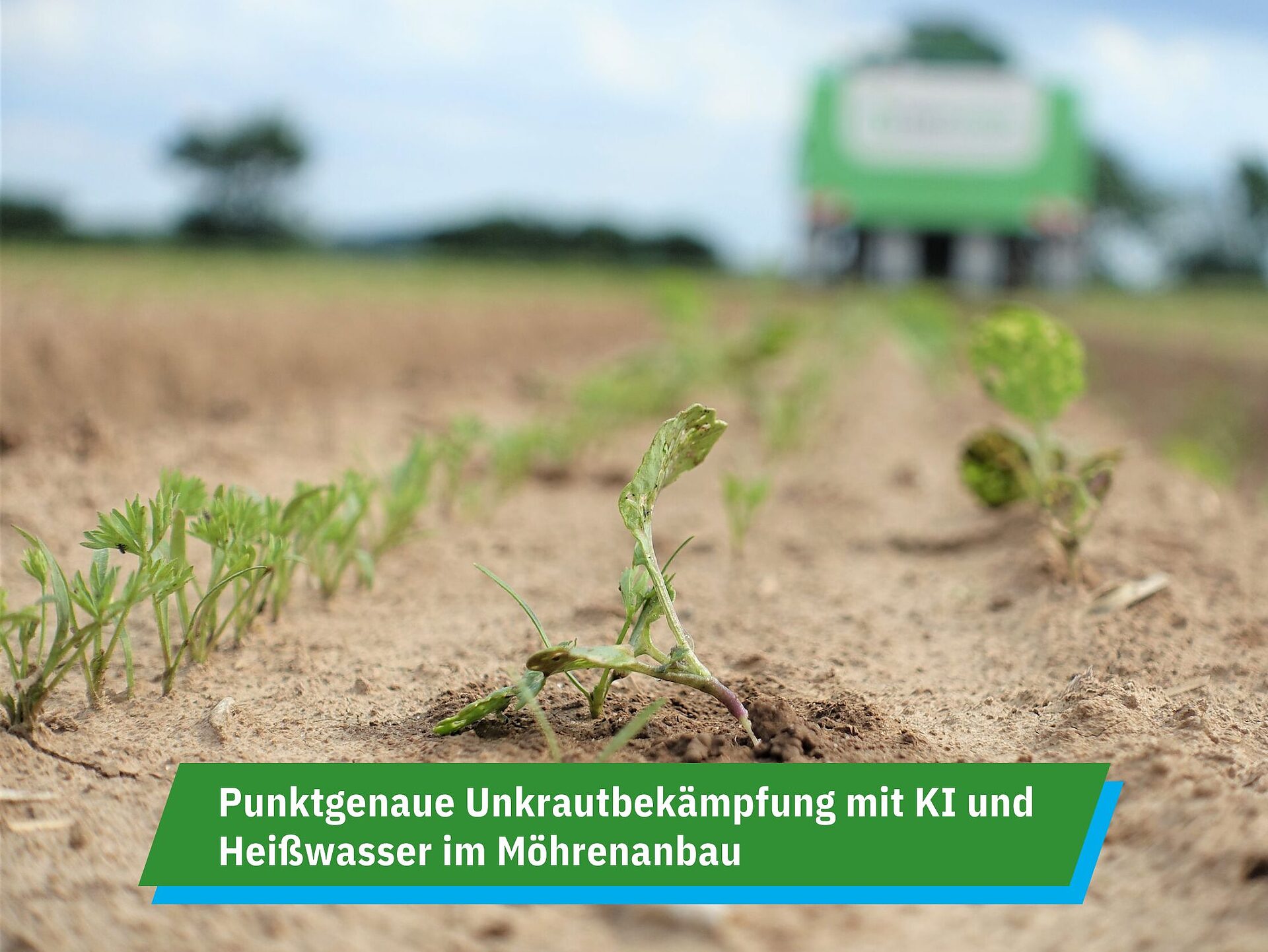 Ein Klick aufs Bild führt zur Projektbeschreibung.