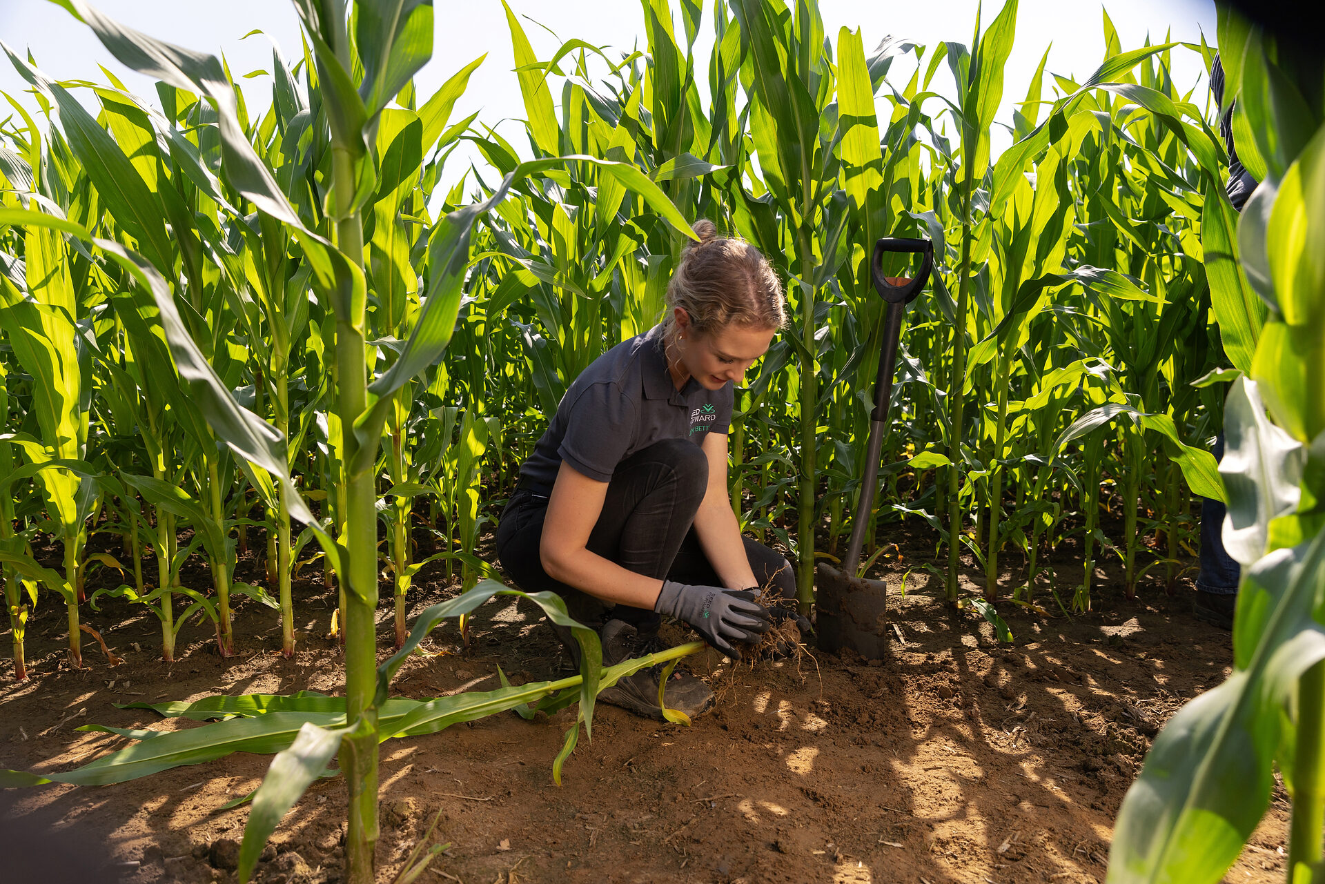 Weniger Dnger fr mehr Umweltschutz - DBU