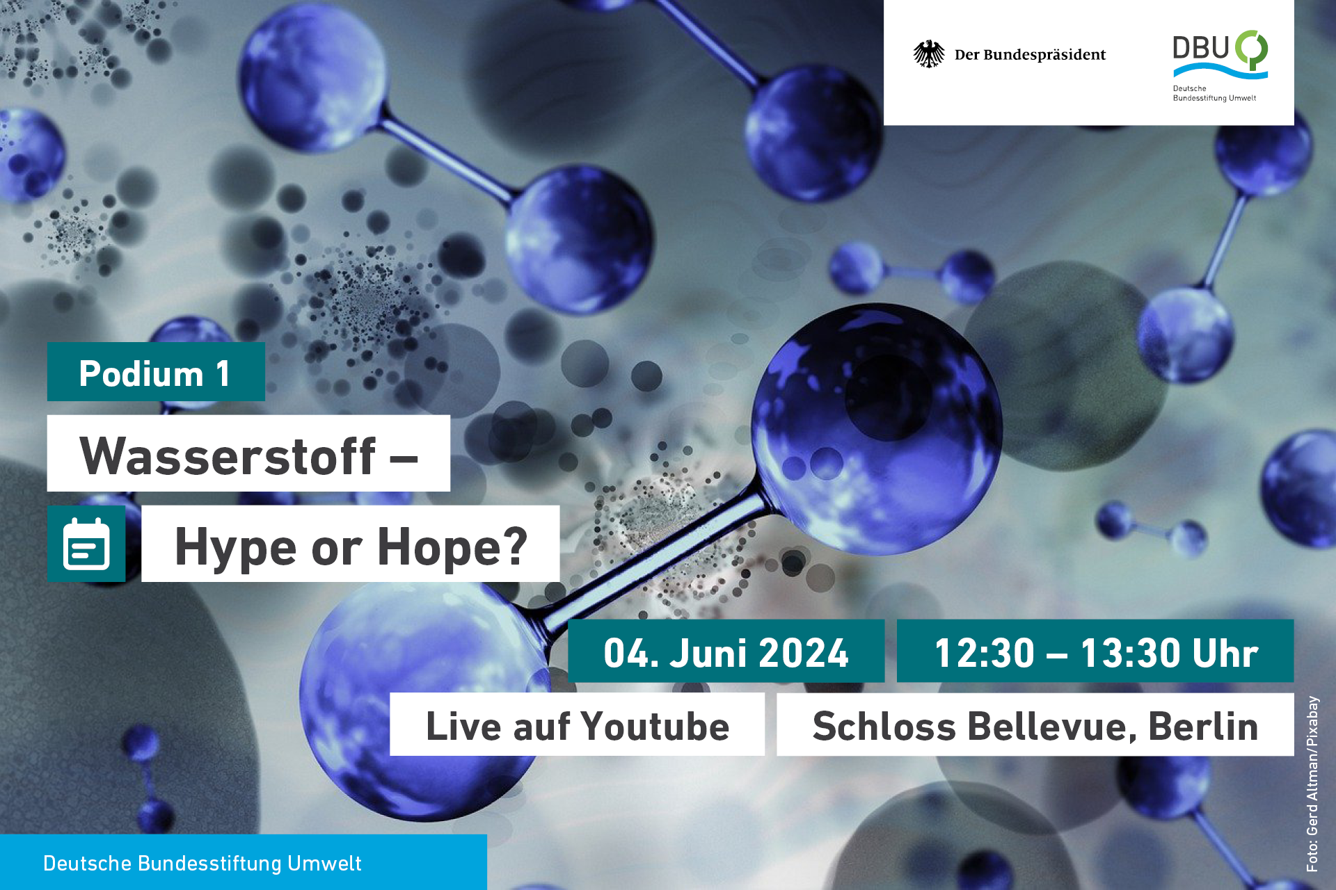Woche der Umwelt 2024 Podium Wasserstoff
