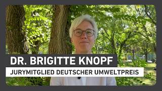 YouTube Datenschutz